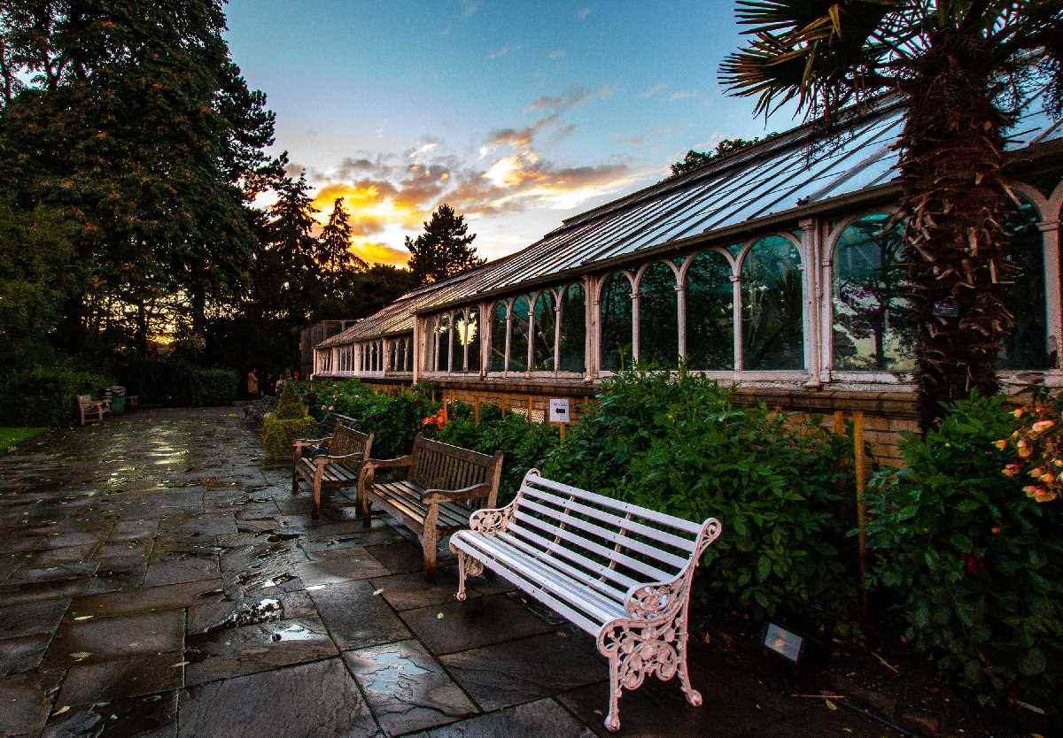 The terrace at the Botanical Gardens, after the rain.